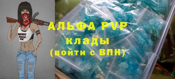 индика Северо-Курильск
